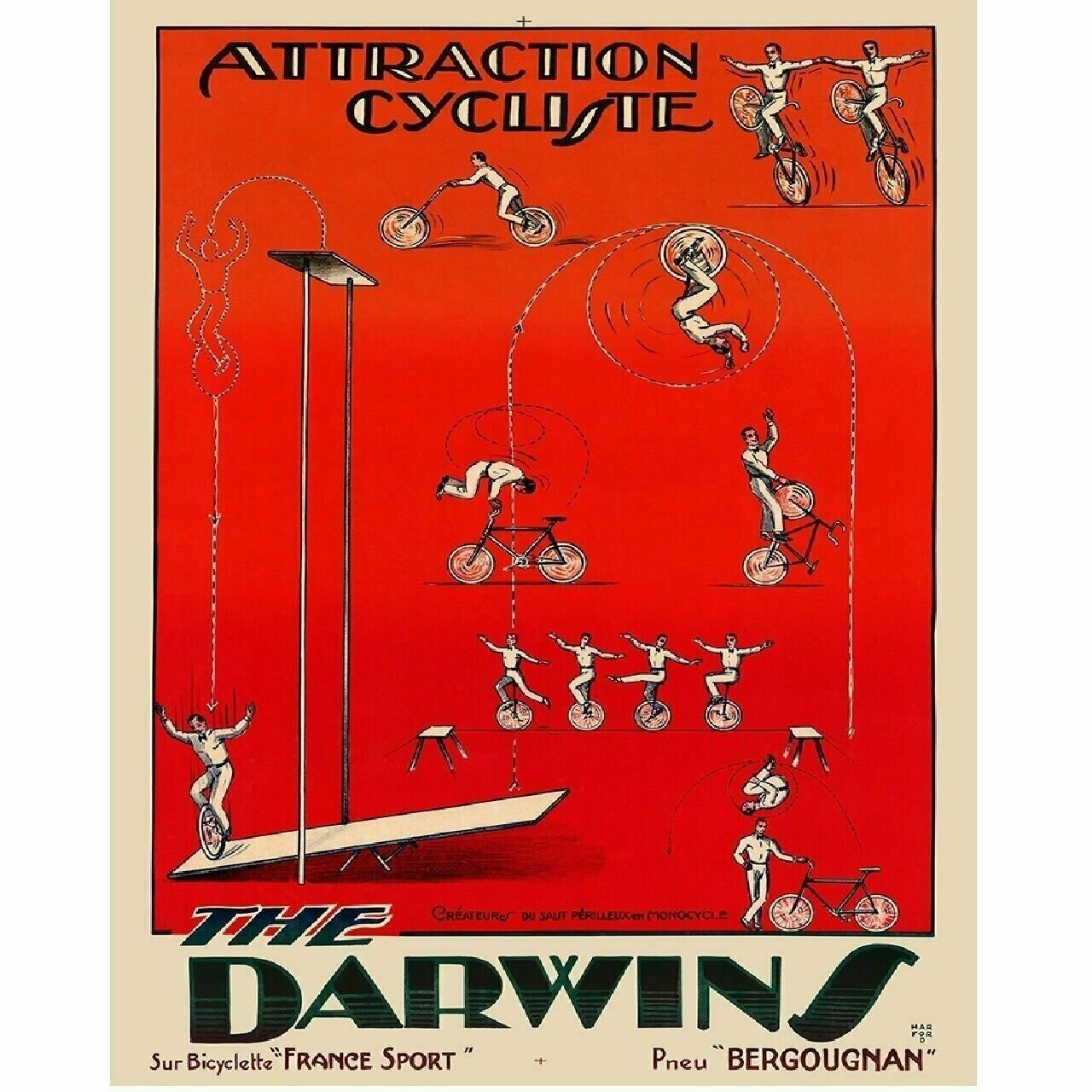 Cycling Poster The Darwins Vintage Cycling Art Bicycle Poster 11" x 17"