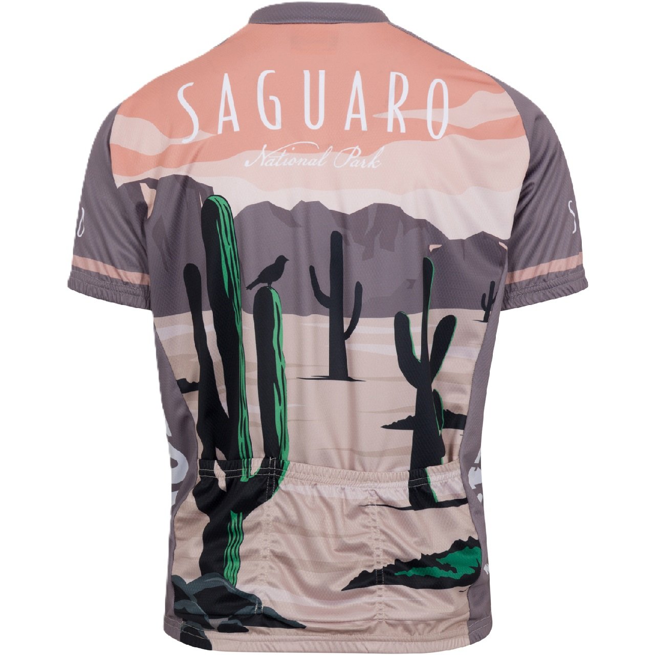 Saguaro National Park Full Zip Men's Cycling Jersey