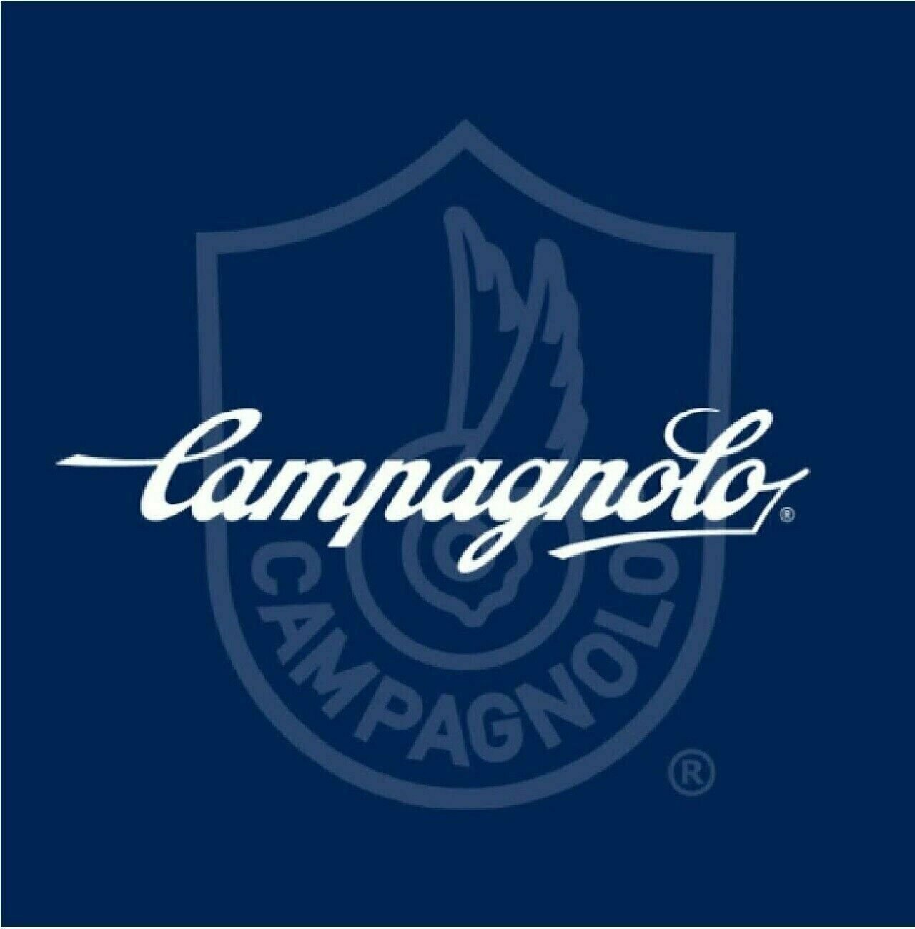 Campagnolo IRIDIO Cycling Jersey Long Zip Azzurro Italia