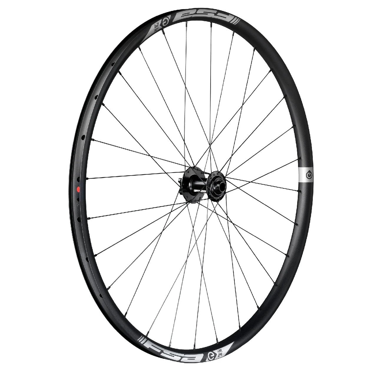 FSA eMTB Boost Alloy Wheel (single)